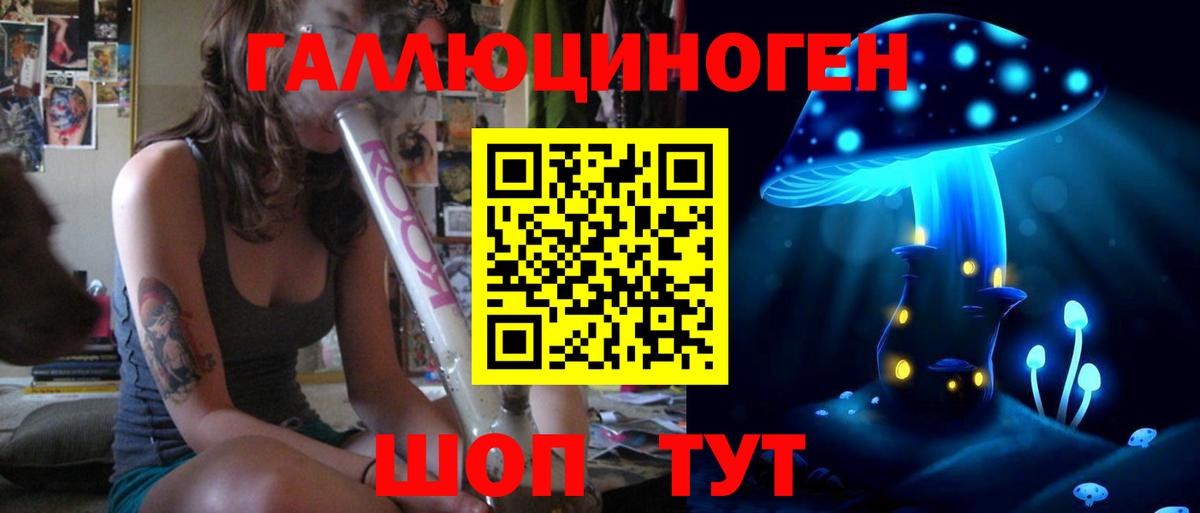 Псилоцибиновые грибы Cubensis  Вход с VPN  Каменка 
